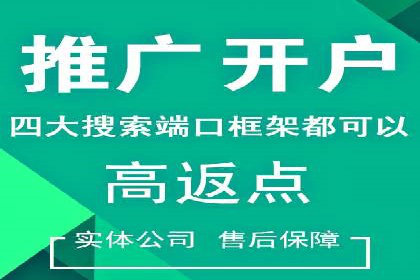 短视频信息流广告推广案例分析
